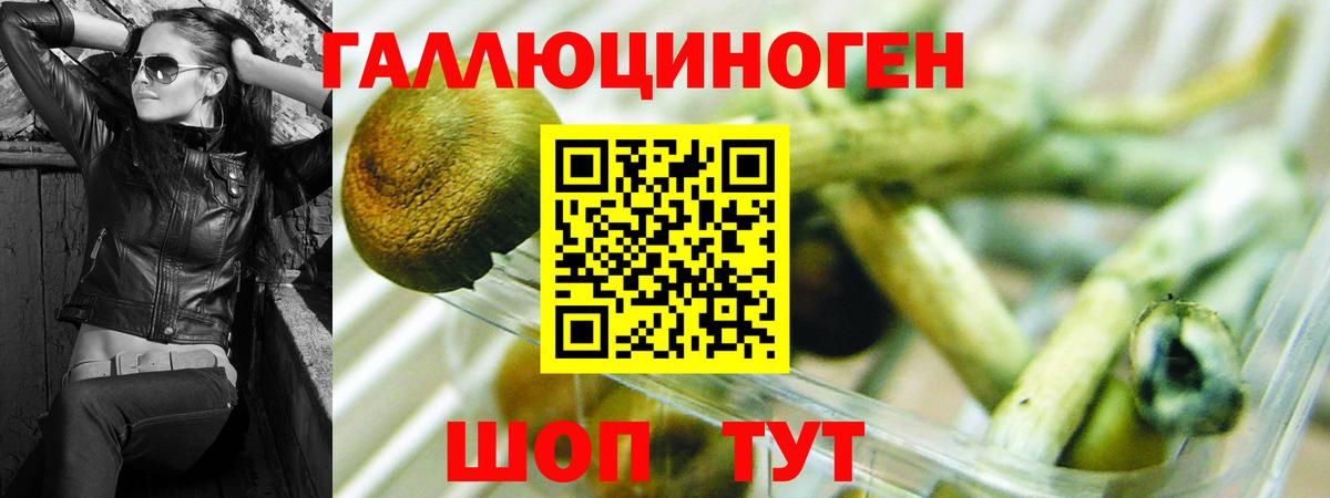 хочу   Галлюциногенные грибы Magic Shrooms  Вход с VPN  Туапсе 